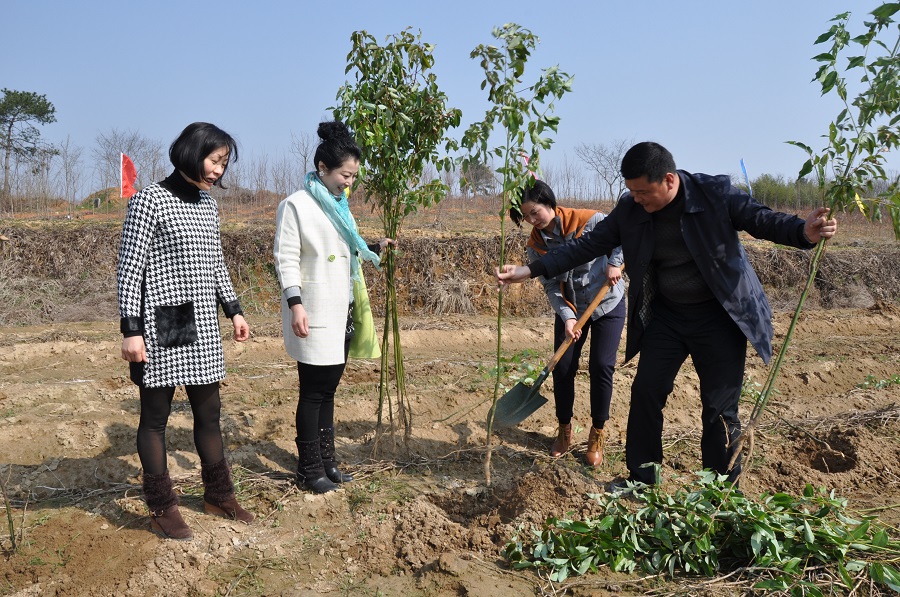芜湖县青企协开展绿色植树活动